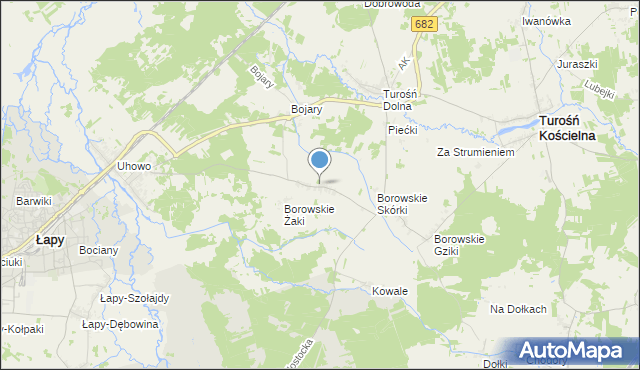 mapa Borowskie Olki, Borowskie Olki na mapie Targeo